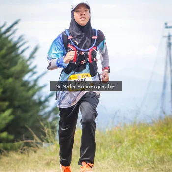 Runner Photo 99035