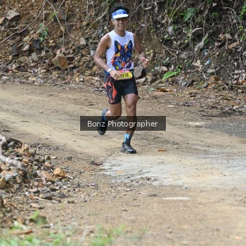 Runner Photo 99213
