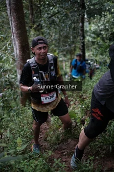Runner Photo 99462
