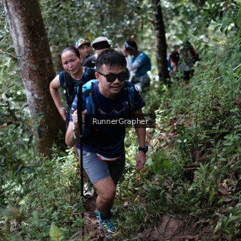Runner Photo 99564