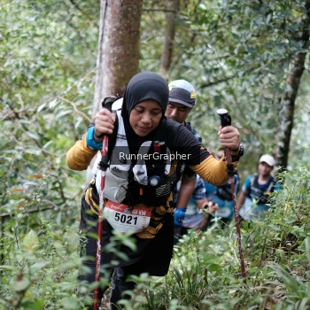 Runner Photo 99682