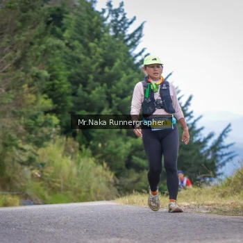 Runner Photo 99767