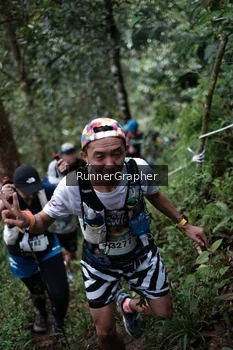 Runner Photo 99850