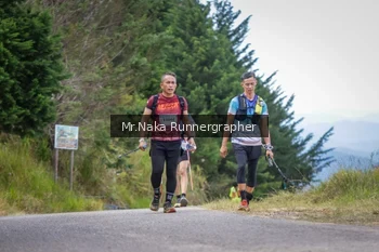 Runner Photo 99879