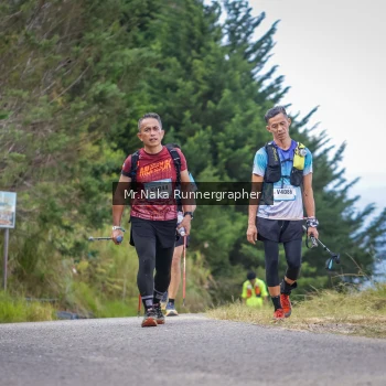 Runner Photo 99880