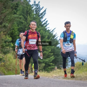 Runner Photo 99889